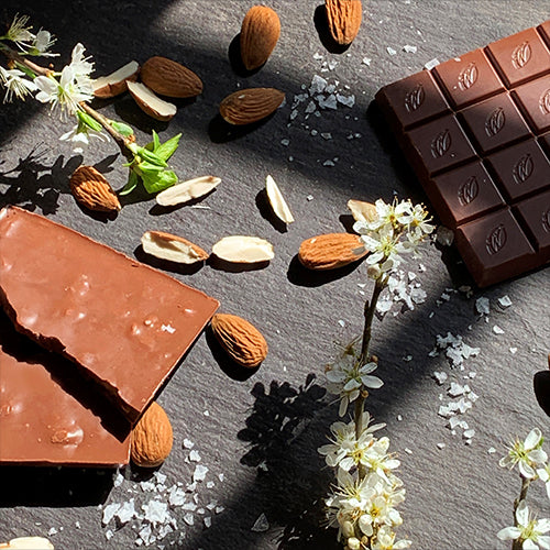 Sea Kissed Almond,44%, 50G, Willie’s Cacao