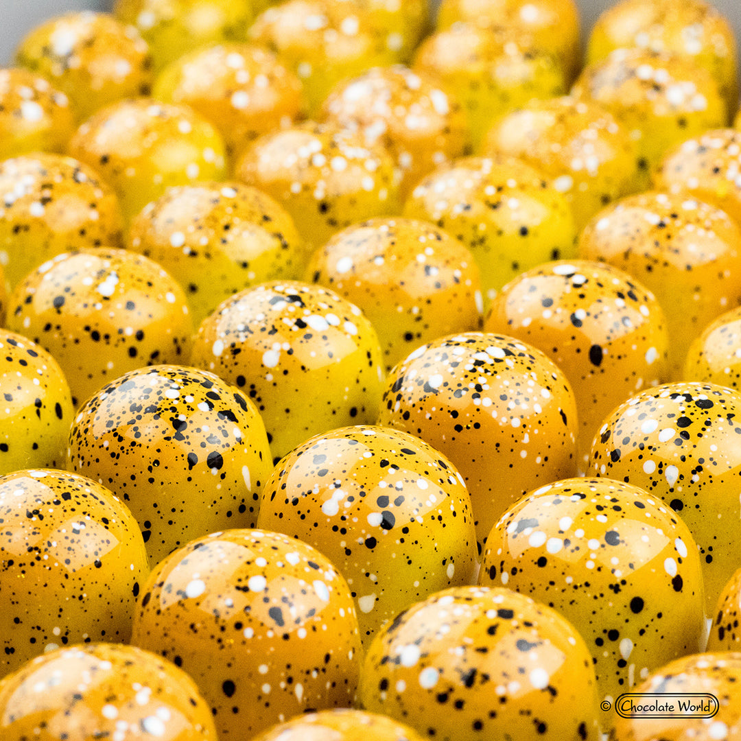 Chocolate World Pralinform CW1433