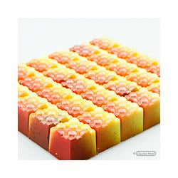 Chocolate World Pralinform CW1677