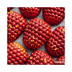 Chocolate World Pralinform CW1948