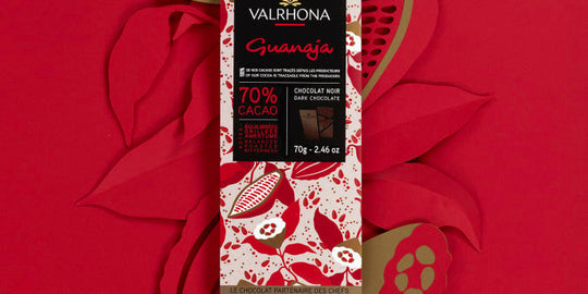 Chokladshopen Valrhona Guanaja 70% mörk chokladkaka med toner av kaffe och torkad frukt mot en röd blommig bakgrund.